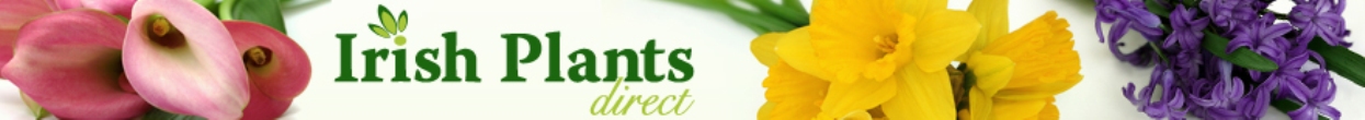 Irish Plants Direct