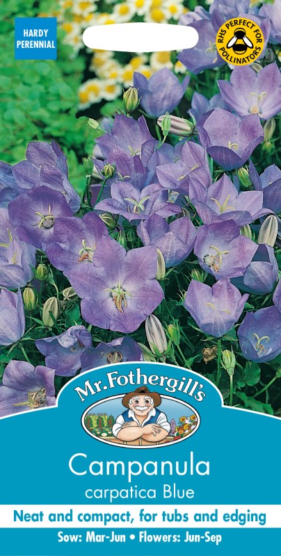 Bellflower Seeds - Campanula Carpatica Mix
