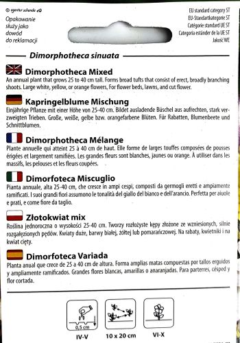 Dimorphotheca Mixed Seeds - Irish Plants Direct