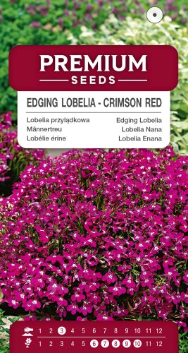 Lobelia Edging Crimson Red Seed - Irish Plants Direct