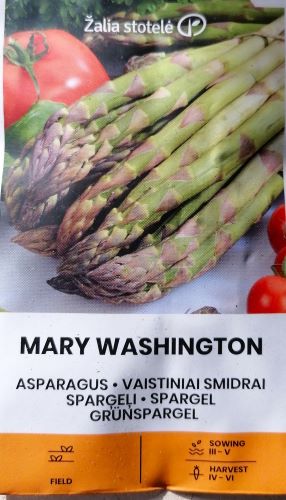 Cultiva Tus Propios Espárragos Durante Décadas: 100 Semillas De Espárrago ‘Mary Washington’ (perenne Y Fácil)