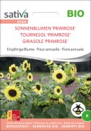 Sunflower Primrose ORGANIC Seed