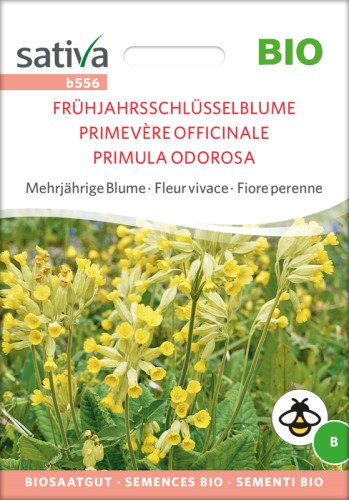 Fragrant Primrose ORGANIC Seeds