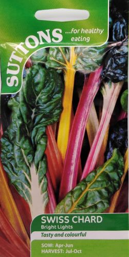 Swiss Chard Bright Lights Seeds - Irish Plants Direct