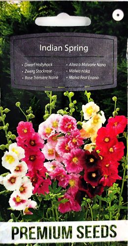 Hollyhock Dwarf Indian Spring Mix Seeds - Irish Plants Direct