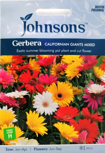 Gerbera California Giants Mix Flower Seeds – Rare Tall Exotic, Fast Bloom (25+ Seeds)