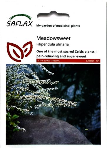 Meadowsweet Seeds - Irish Plants Direct