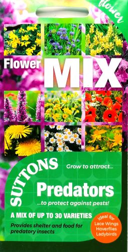 Predators Flower Mix Seeds - Irish Plants Direct