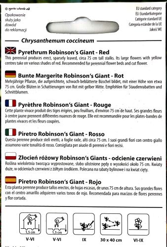 Pyrethrum Robinsons Giant Red Seeds - Irish Plants Direct