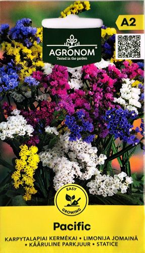Statice Pacific Mix Seeds - Irish Plants Direct