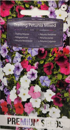 Petunia Trailing Seeds - Irish Plants Direct