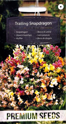 Trailing Snapdragon Seeds - Irish Plants Direct